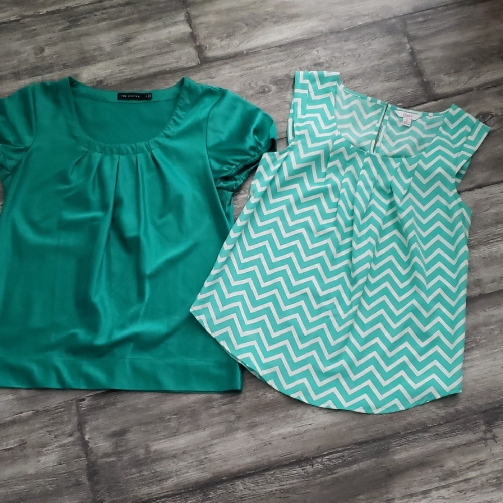 2 Blouses The Limited and Candies size S
